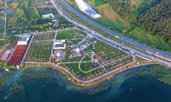 Arifiye Marka Tescili