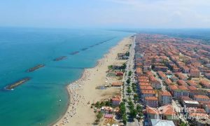 Karasu Marka Tescili